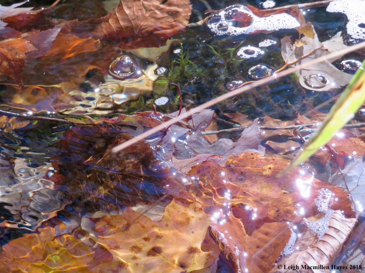 19-view from the rock