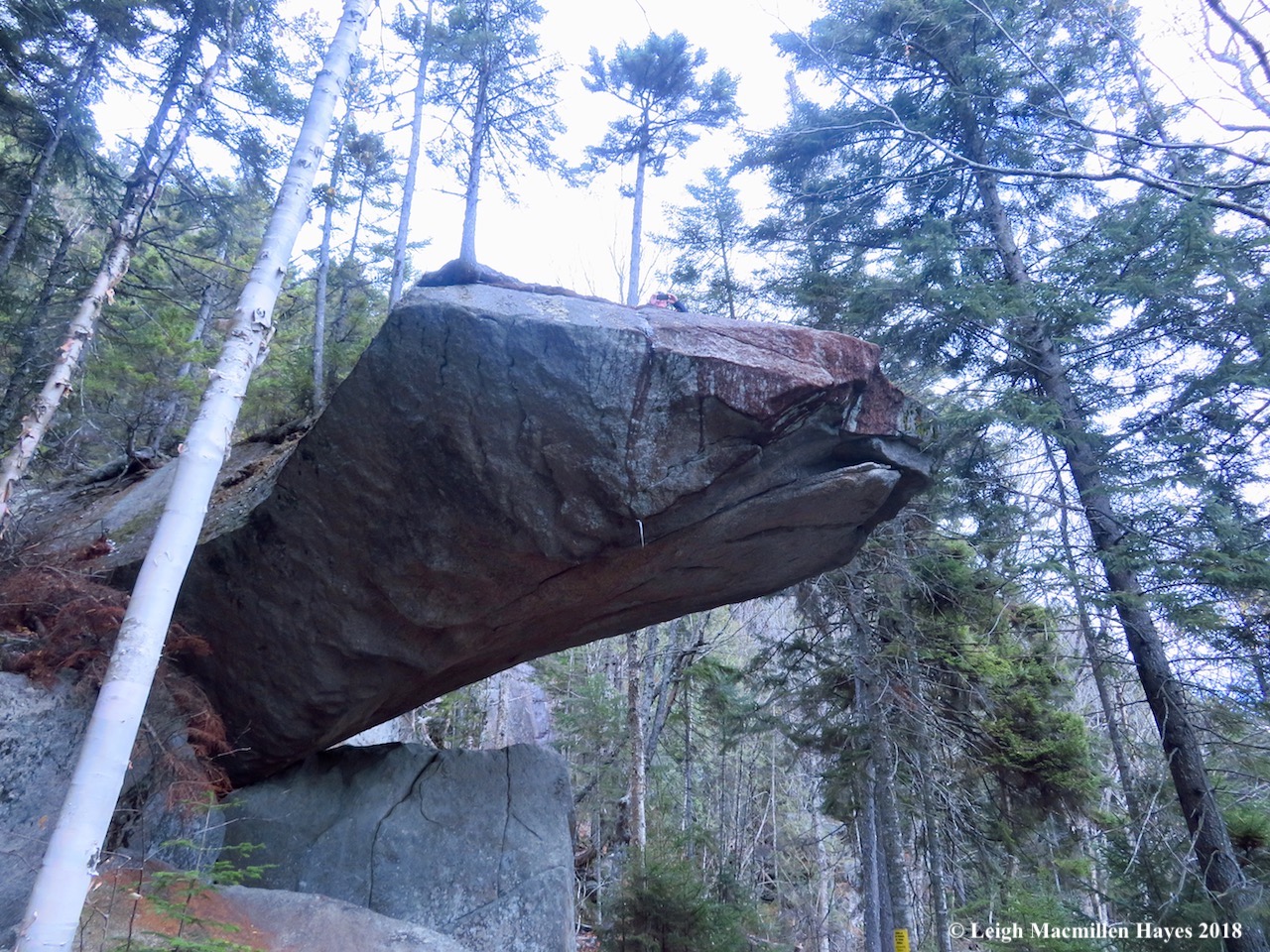 21-My guy atop the turtle head of Piazza Rock