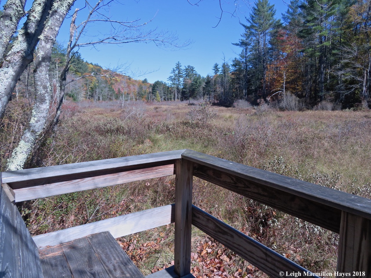 21-view from the bench