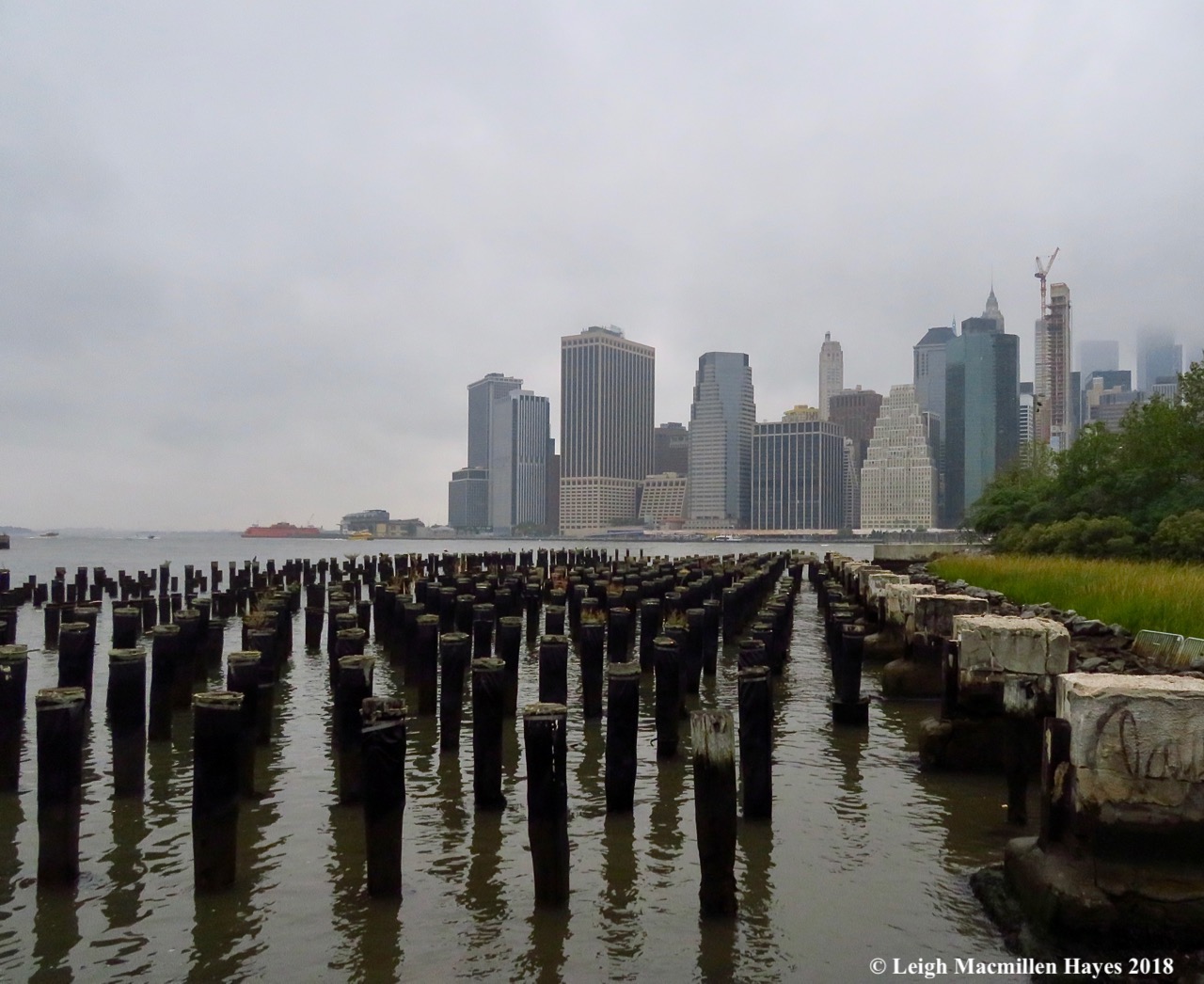 22-offices of many sorts