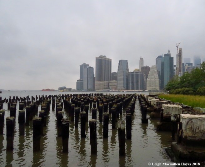 22-offices of many sorts