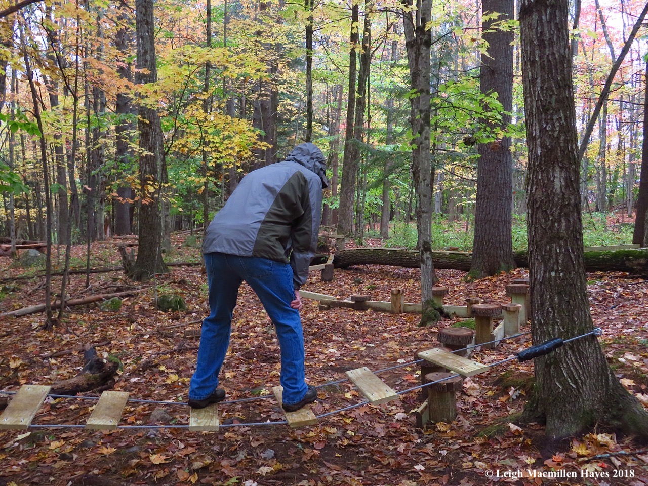 22-waiting for the wires to stop swaying