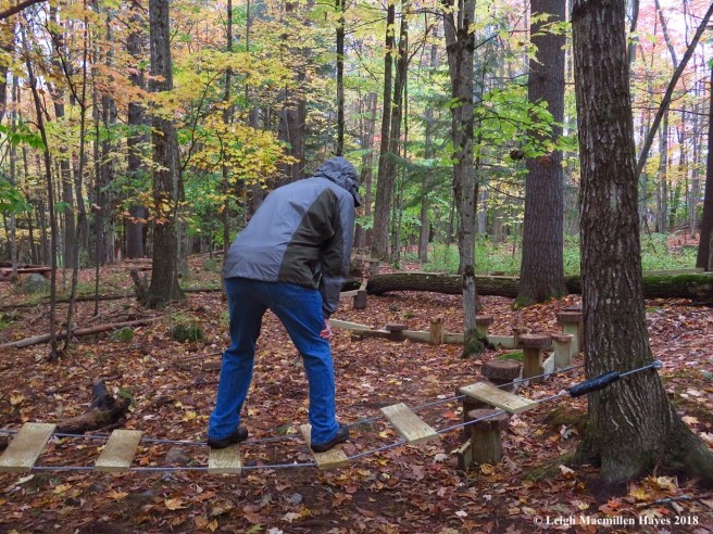 22-waiting for the wires to stop swaying