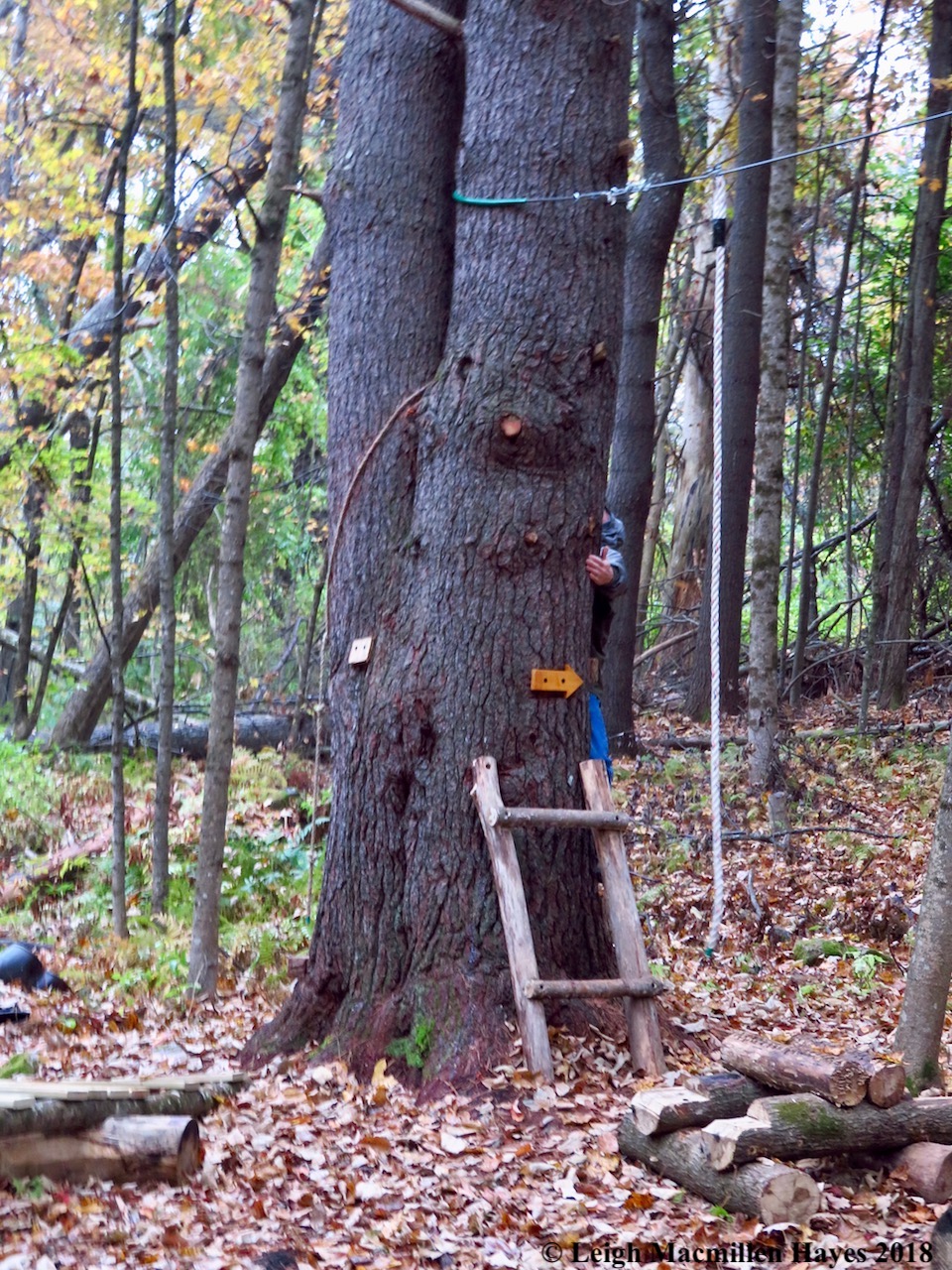 28-now you don't see him