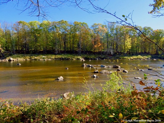3-clear view of the Saco River