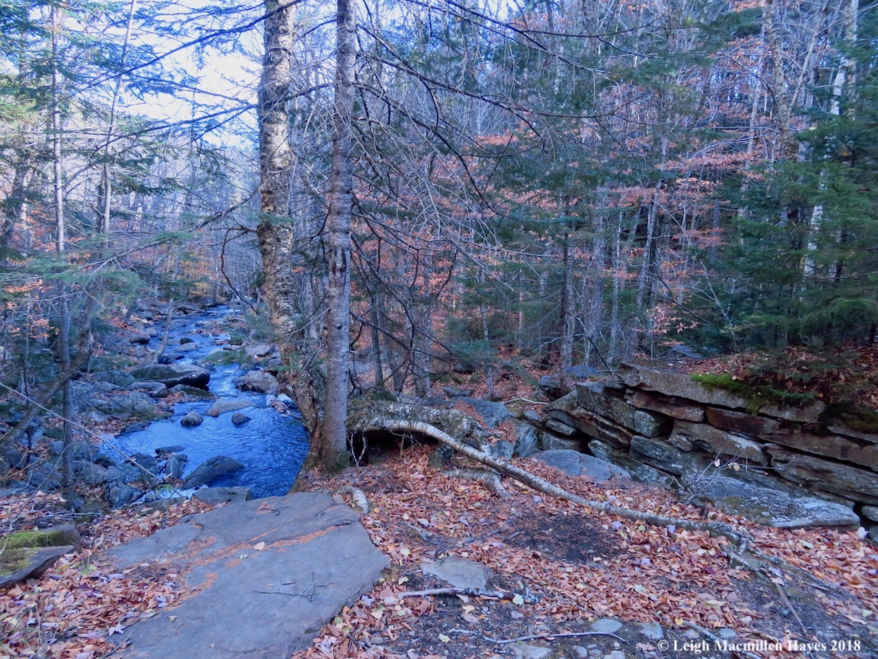 33-back to the sluice