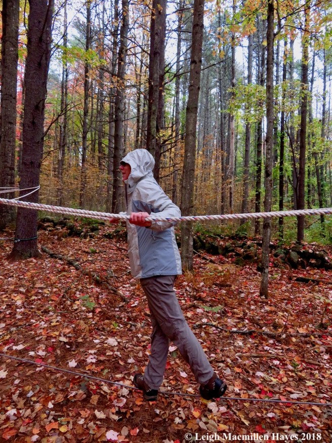 5-my own nuthatch pose