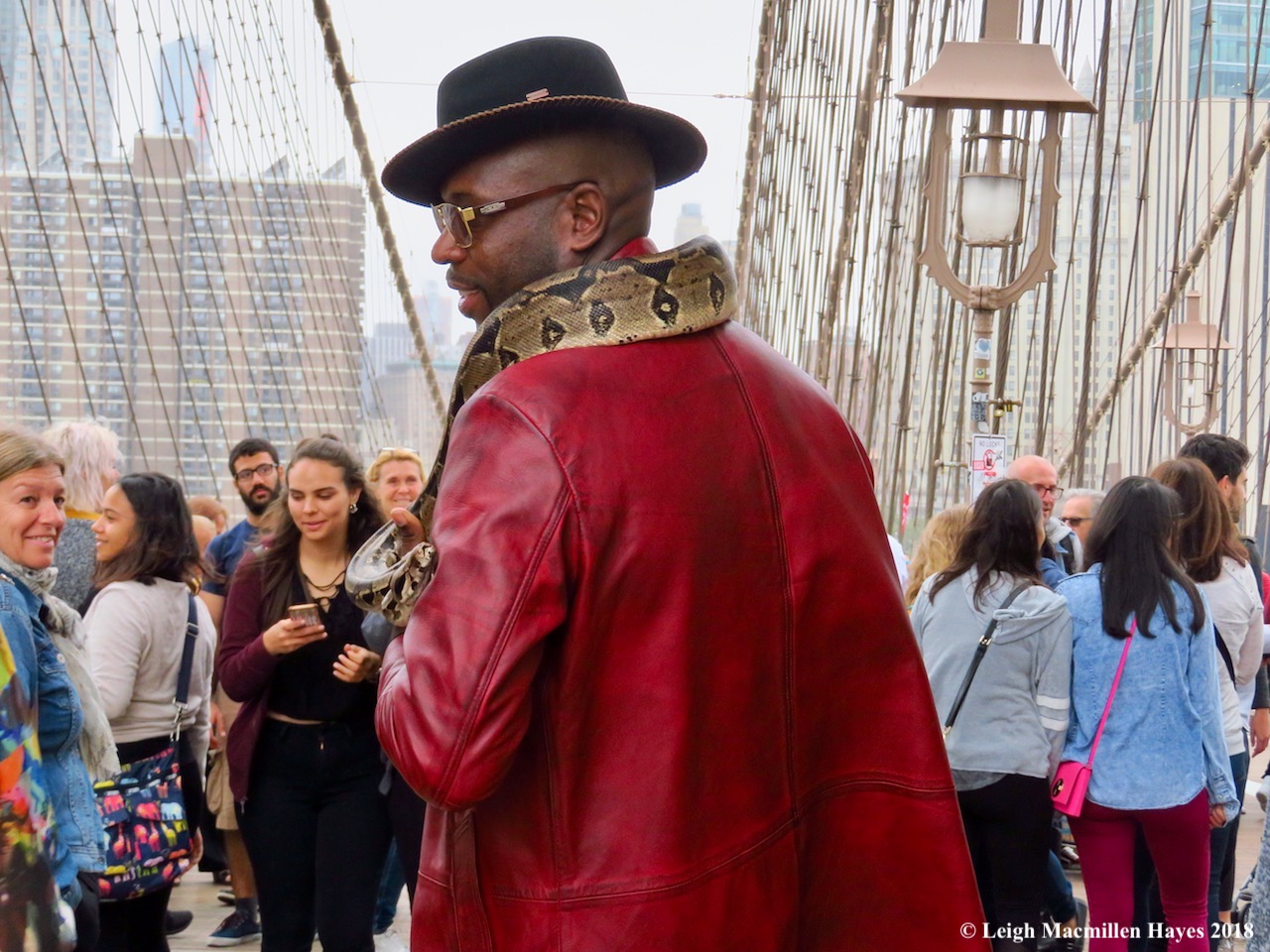 6-wildlife on the bridge