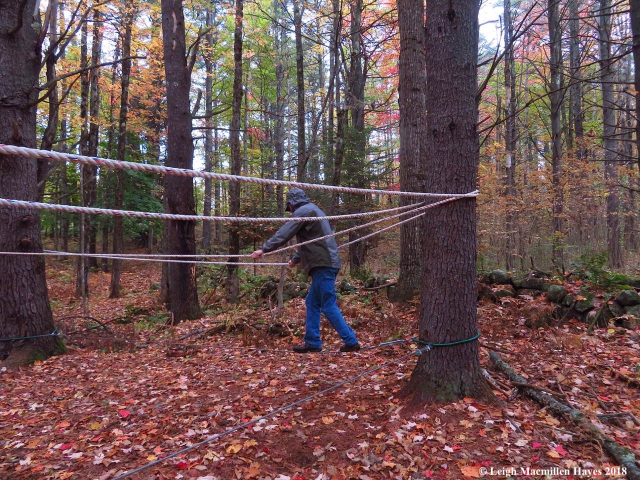 7-walking the tightrope