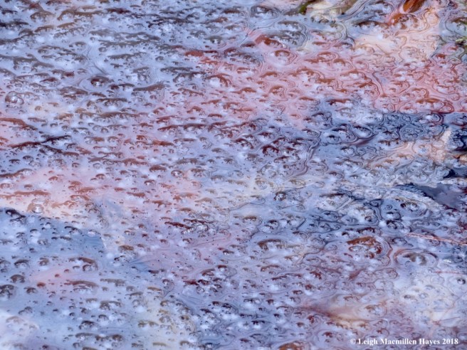 7b-leaves under slush