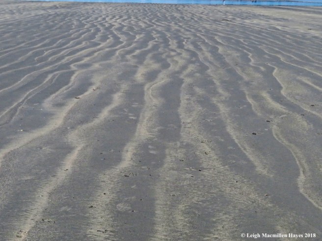 9-ripples in the sand