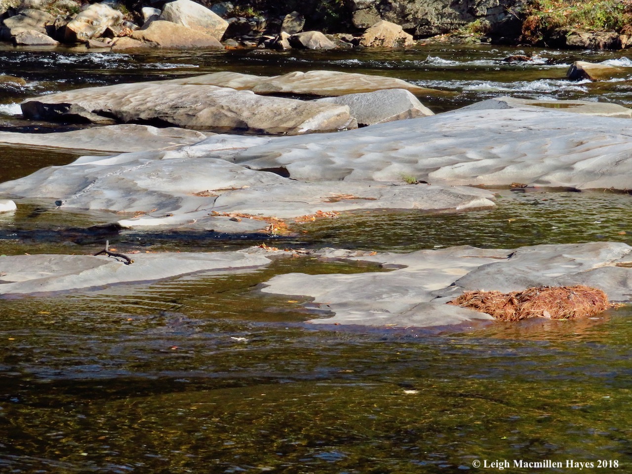 9-rock carvings match the waves