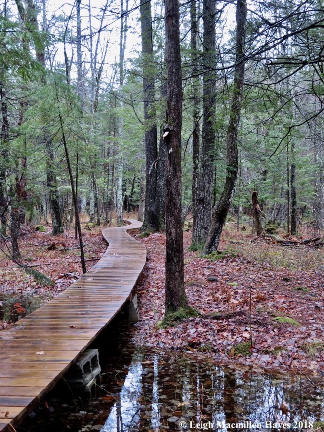 13-crossing onto LEA property