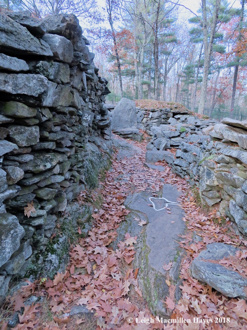 14-Wall and pathway to Oracle Chamber