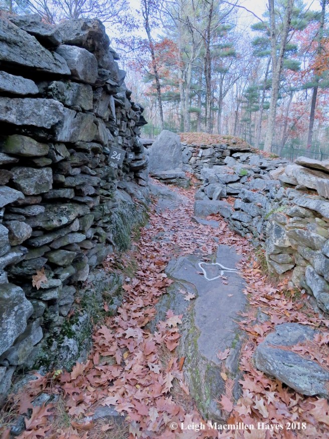 14-Wall and pathway to Oracle Chamber