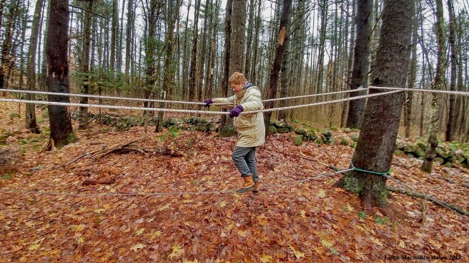 16-Connie on the low-impact challenge course