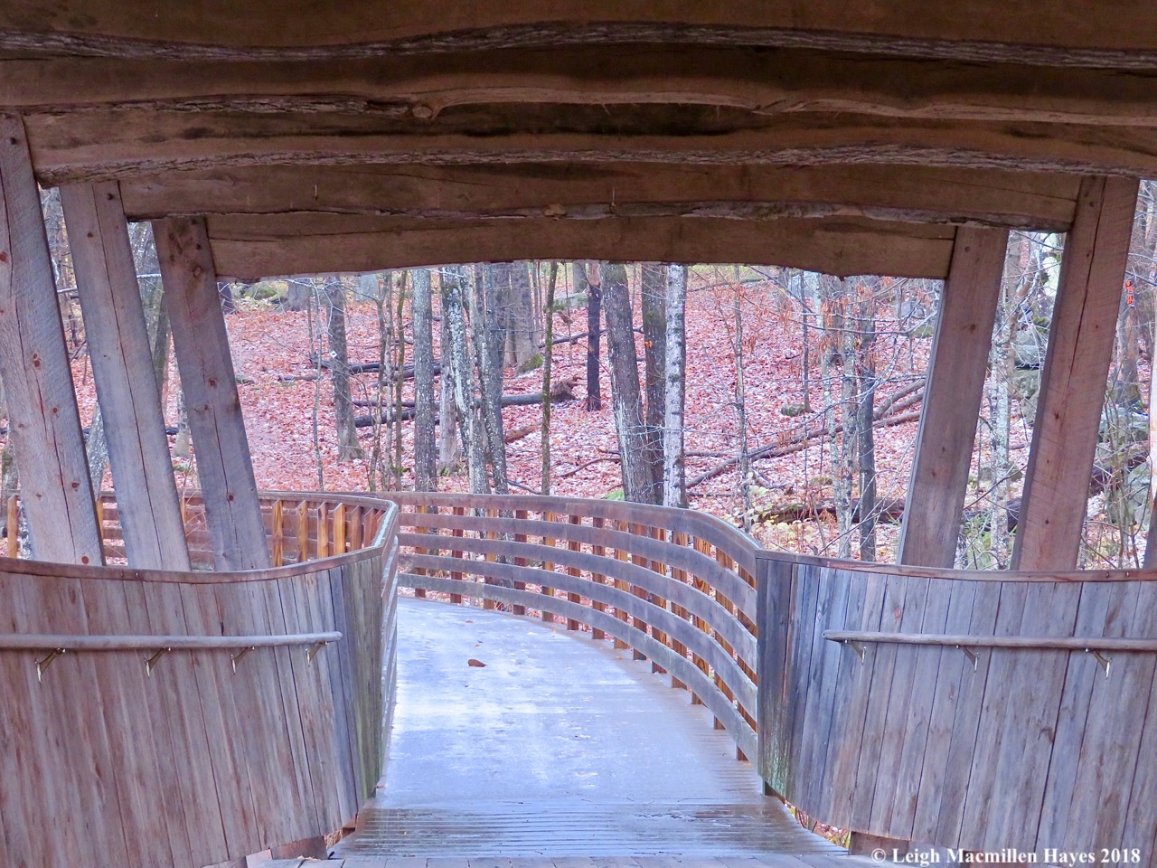 4-Bob Dunning Bridge