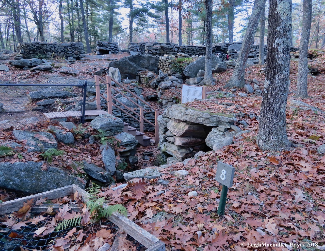 4-Well of crystals, Pattee Area