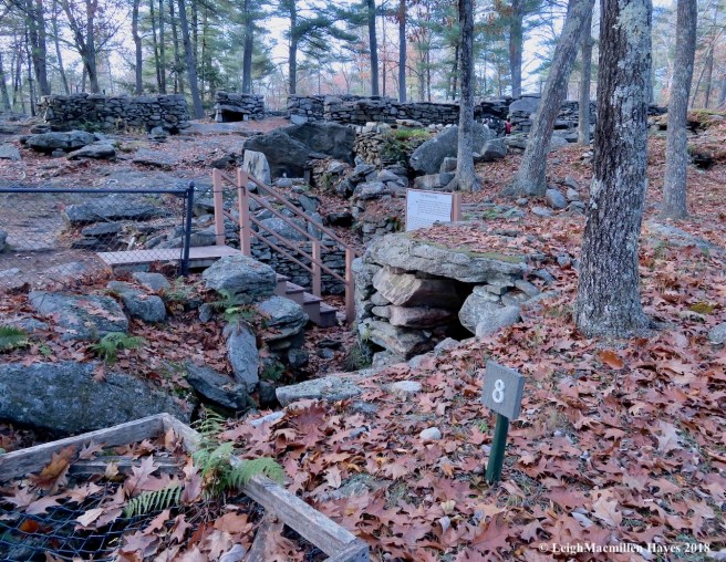 4-Well of crystals, Pattee Area