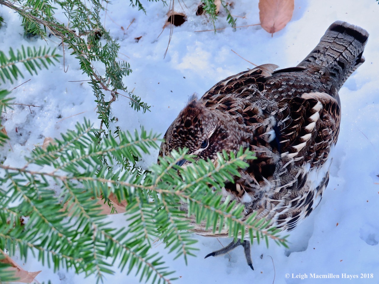 8-coming out of hiding