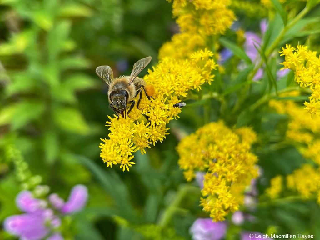 This image has an empty alt attribute; its file name is 1-2.jpg