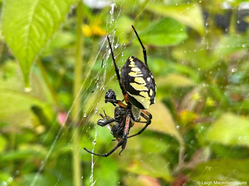 This image has an empty alt attribute; its file name is 16-1.jpg