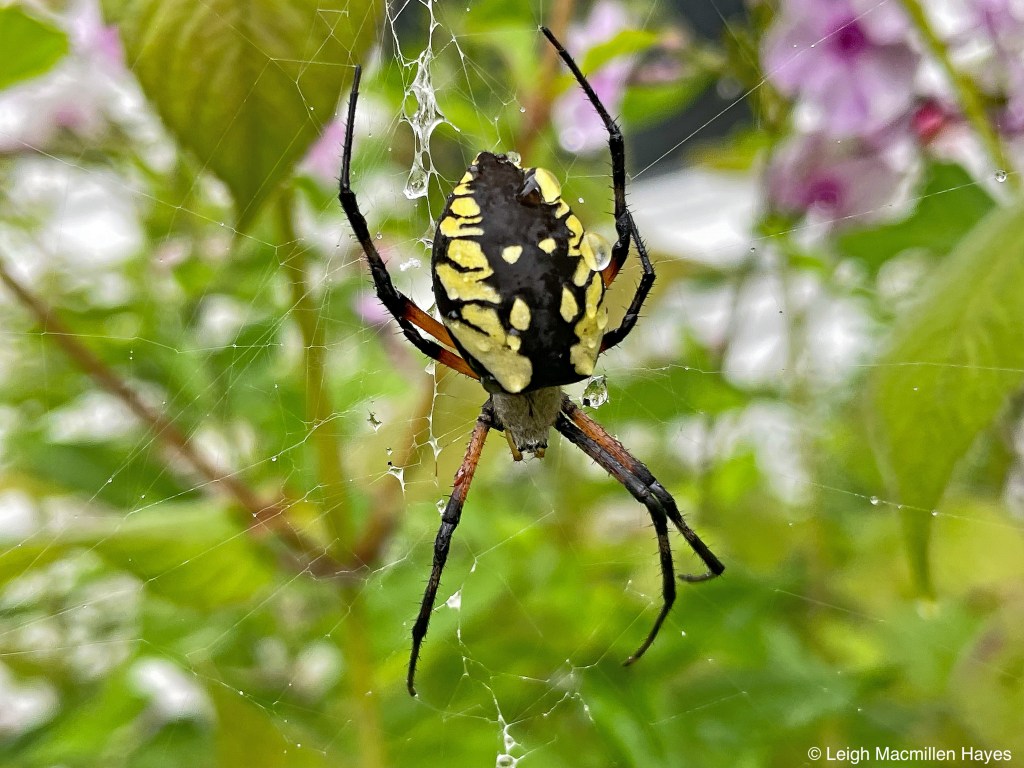 This image has an empty alt attribute; its file name is 23-1.jpg