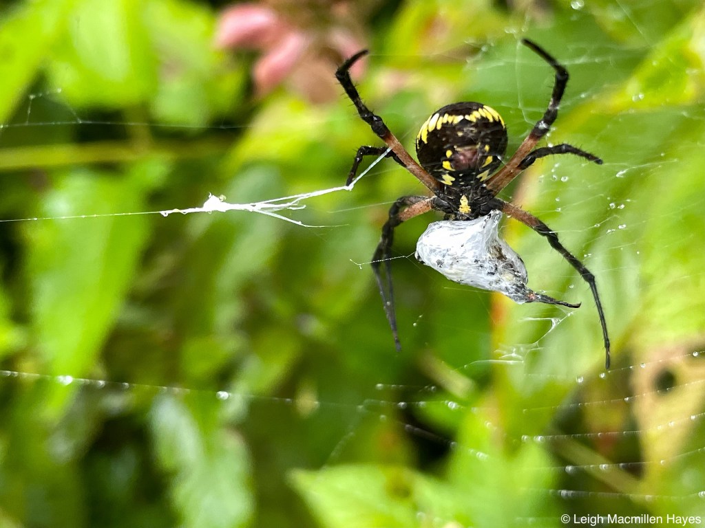 This image has an empty alt attribute; its file name is 35.jpg