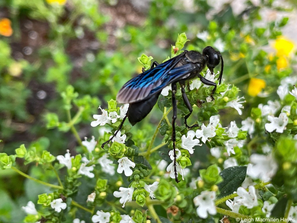 This image has an empty alt attribute; its file name is 5-1.jpg